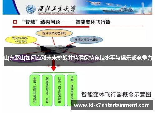 山东泰山如何应对未来挑战并持续保持竞技水平与俱乐部竞争力