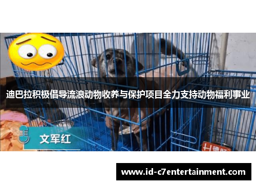 迪巴拉积极倡导流浪动物收养与保护项目全力支持动物福利事业
