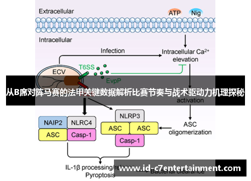 从B席对阵马赛的法甲关键数据解析比赛节奏与战术驱动力机理探秘